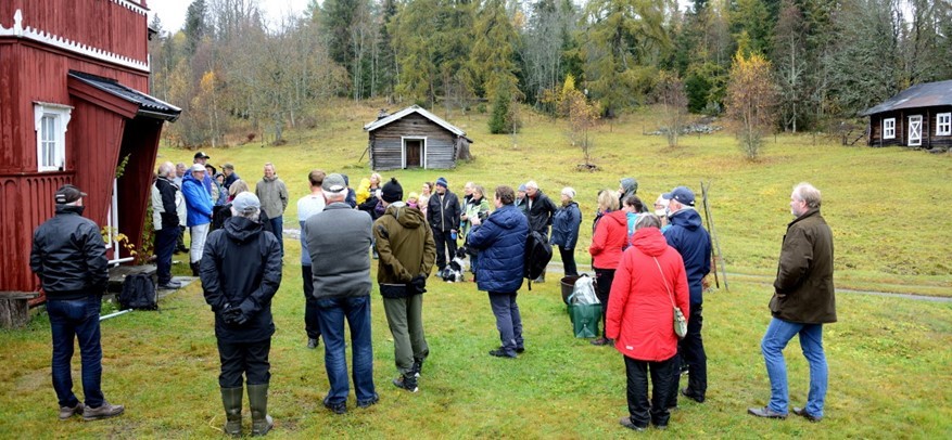 Orala 20191019 125157Orala Fredningsmarke C Tmb 877X0